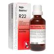 Naja-Gastreu R22 Tropfen zum Einnehmen - 1