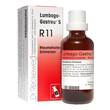Lumbago-Gastreu S R11 Tropfen zum Einnehmen - 1