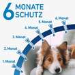 FRONTLINE® SPOT ON Hund S L&ouml;sung - 4