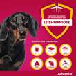 Advantix Spot-on Hund bis 4 kg L&ouml;sung - 5