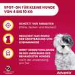 Advantix Spot-on Hund 4 - 10 kg L&ouml;sung - 4