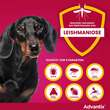 Advantix Spot-on Hund 4 - 10 kg L&ouml;sung - 5