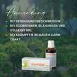 Gastritol® Liquid Fl&uuml;ssigkeit zum Einnehmen - 3