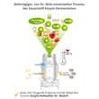Zell Oxygen Zym Anti Aging 14 Tage Kombipackung - 4