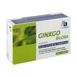 Ginkgo 100 mg Kapseln + B1 + C + E - 1