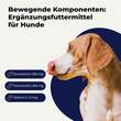 Glucosamin + Chondroitin Kapseln f&uuml;r Hunde - 2
