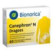 Canephron N Dragees - 1