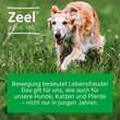 Zeel Ampullen vet. (f&uuml;r Tiere) - 3