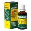 Gastricholan L fl&uuml;ssig - 1