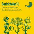 Gastricholan L fl&uuml;ssig - 2