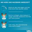 Kiltix f&uuml;r mittelgro&szlig;e Hunde Halsband - 7