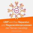 Neuropax-ratiopharm forte Kapseln - 4