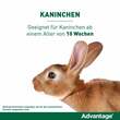 Advantage® 40 mg f&uuml;r kleine Katzen und Zierkaninchen - 4