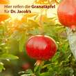 Granatapfel Elixier mediterran Dr. Jacob`s - 3