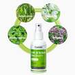 Fuss und Schuhdeo Biofit pflanzlich Spray - 2