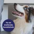 Canosept Zahnpflegespray f&uuml;r Hunde - 4