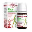 Rhus toxicodendron D6 DHU bei rheumatischen Schmerzen Tabletten  - 1