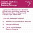INSTYLAN 0,16 % Sp&uuml;ll&ouml;sung - 3