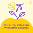 Canephron Uno &uuml;berzogene Tabletten - 4