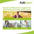 Pollicrom® Nasenspray  - 7