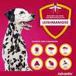 Advantix Spot-on L&ouml;sung Hund 25 - 40 kg - 5