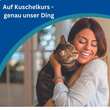 Amflee combo 50 mg/60 mg L&ouml;sung zum Auftropfen f&uuml;r Katzen - 2