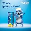 hysan® Pflegespray - 6