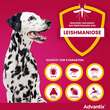 Advantix Spot-on L&ouml;sung Hund 40 - 60 kg - 5