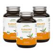 Acurmin Phytholistic Bio-Curcuma-Extrakt Kapseln - 1