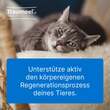 Traumeel LT ad us.vet.Tabletten - 3