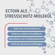 Dermastabil Augenlidcreme - 4