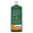 Logona Repair &amp; Pflege Shampoo Bio-Sanddorn - 2