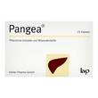 Pangea Kapseln - 1