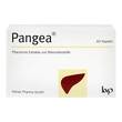 Pangea Kapseln - 1