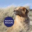 Canosept Hautpflege Spray f&uuml;r Hunde - 4