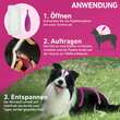 FRONTLINE TRI-ACT® gegen Zecke, Floh und fliegende Insekten bei Hunden (2-5kg) - 3