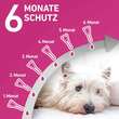 FRONTLINE TRI-ACT® gegen Zecke, Floh und fliegende Insekten bei Hunden (2-5kg) - 4