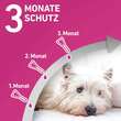 FRONTLINE TRI-ACT® gegen Zecke, Floh und fliegende Insekten bei Hunden (5-10kg) - 4