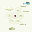 Flexiqule Mobility Kapseln - 2