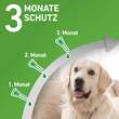 FRONTLINE COMBO® gegen Zecken, Fl&ouml;he bei Hunden L (20-40 kg) - 4