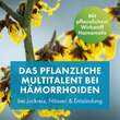 FAKTU® lind H&auml;morrhoidenz&auml;pfchen mit Hamamelis - 3