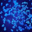 Bacillus subtilis plus Dr. Jacob`s Kapseln - 2
