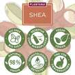 Plantana Shea Gesichtscreme Hyaluron &amp; Vitamin-E - 3