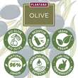 Plantana Olive Gesichtscreme Hyaluron &amp; Vitamin-E - 3