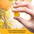 Vitamin D-Loges 5.600 I.E. Kids Kautabletten - 2