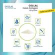 Collal Halal-Collagen Doypack Pulver - 4