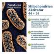 Mitochondrien Aktivator 44 + 14 Multi-Komplex Kapseln  - 2