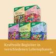 Krafttier Tee Weiser Elefant Bio Salus Filterbeutel  - 5
