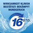 CB12 Mundsp&uuml;lung Zahnfleischschutz - 2