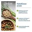 Nattokinase 20.000 + Vitamin C vegan Kapseln - 2
